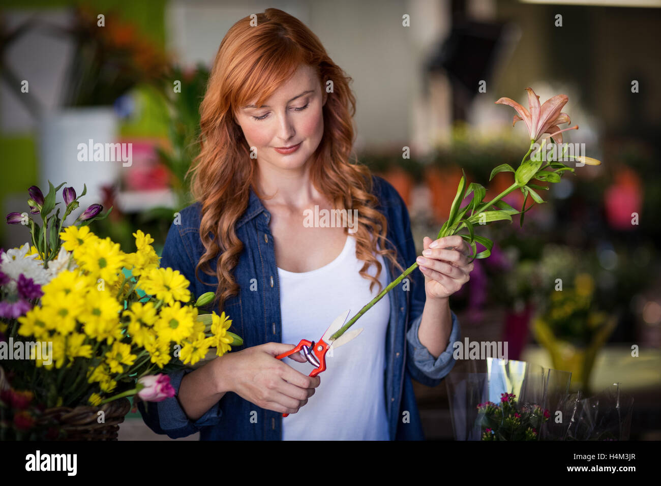 Fleuriste bouquet de fleurs femelles préparation Banque D'Images Fleuriste bouquet de fleurs femelles préparation Banque D'Images