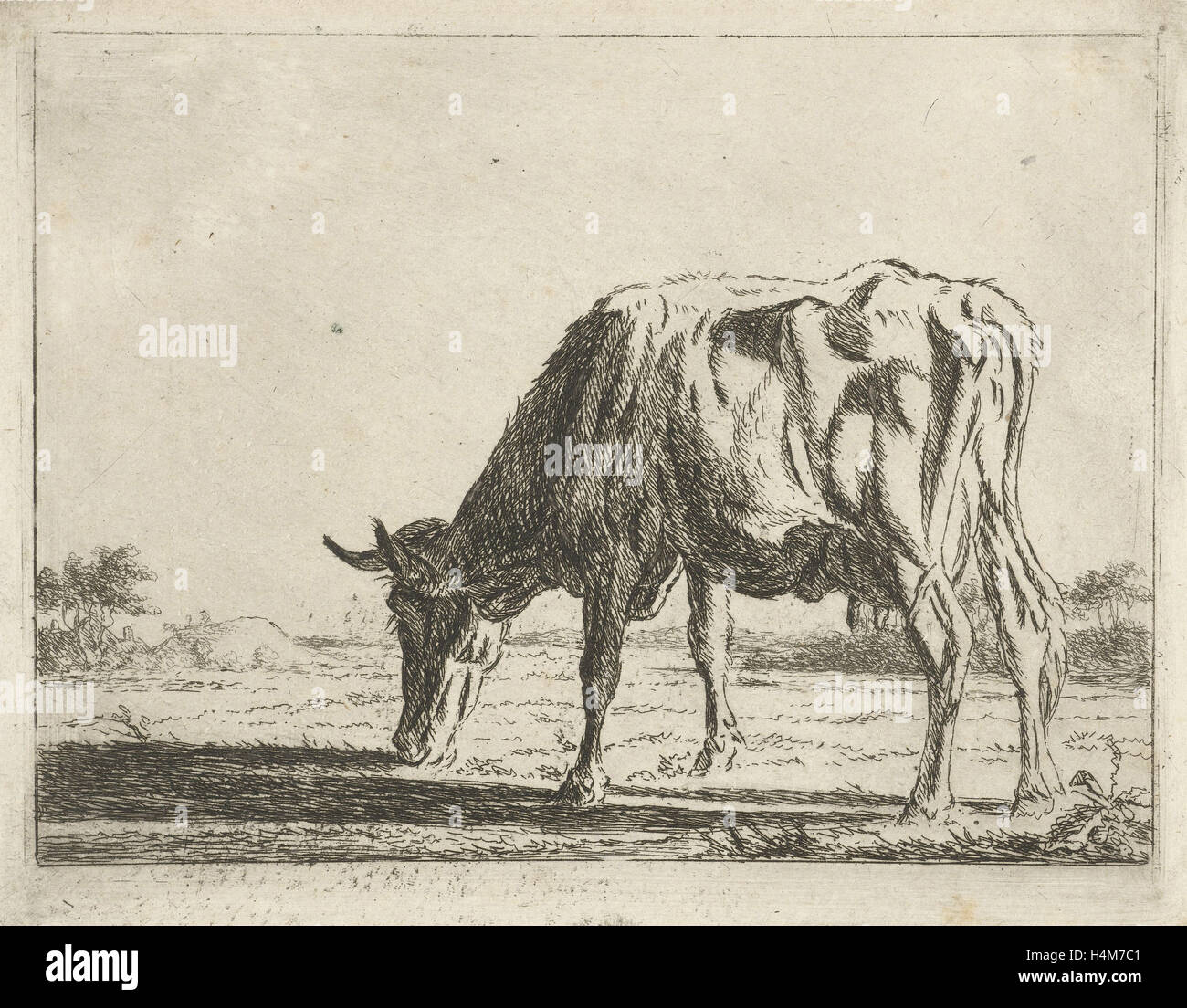Vache pâturage, Jacobus Cornelis Gaal, Pieter Gaal, 1854 Banque D'Images