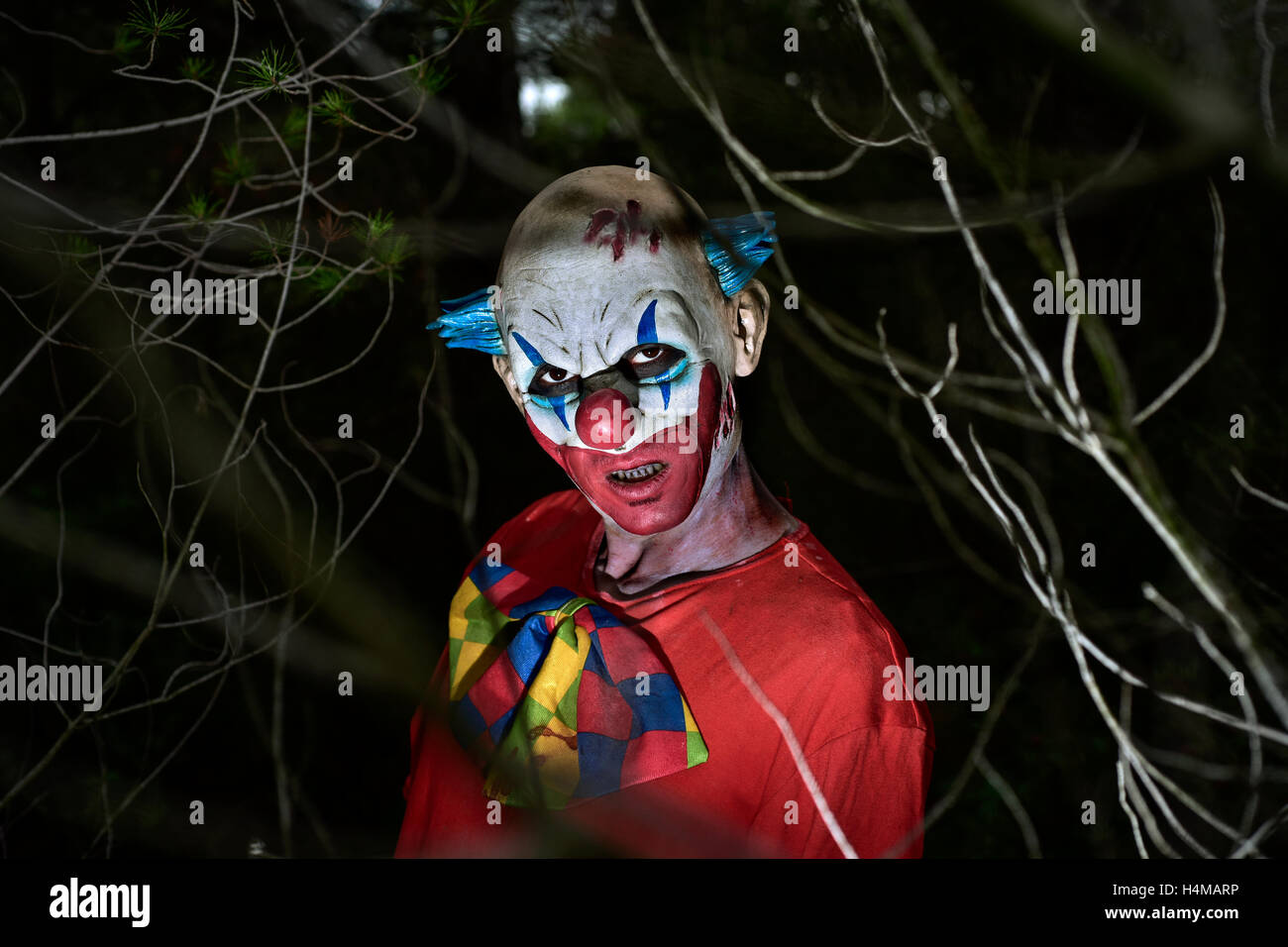 Libre de scary clown maléfique dans les bois, dans le noir de la nuit Banque D'Images