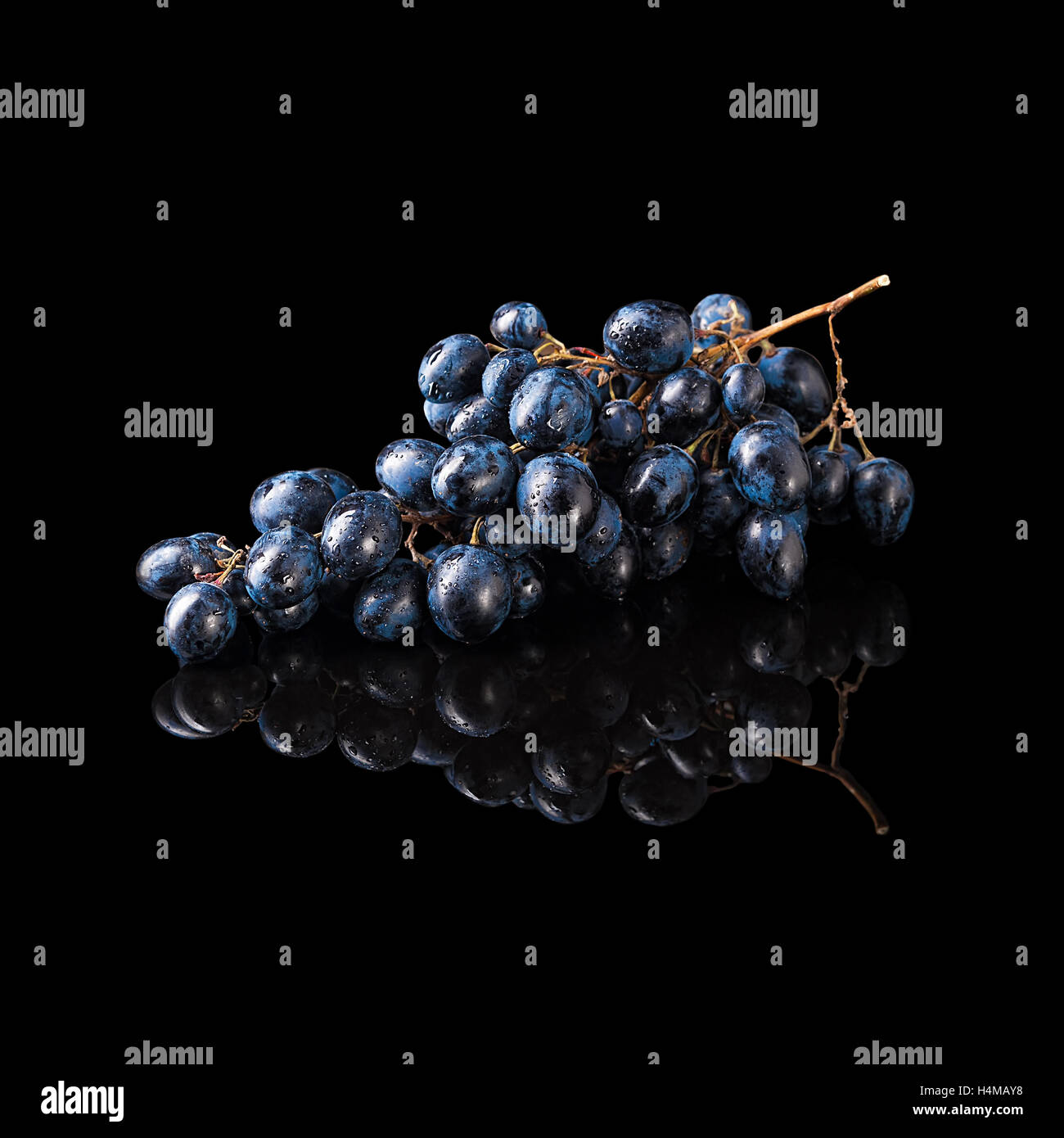 Tas de raisins bleus isolé sur un fond noir brillant avec réflexion réaliste Banque D'Images