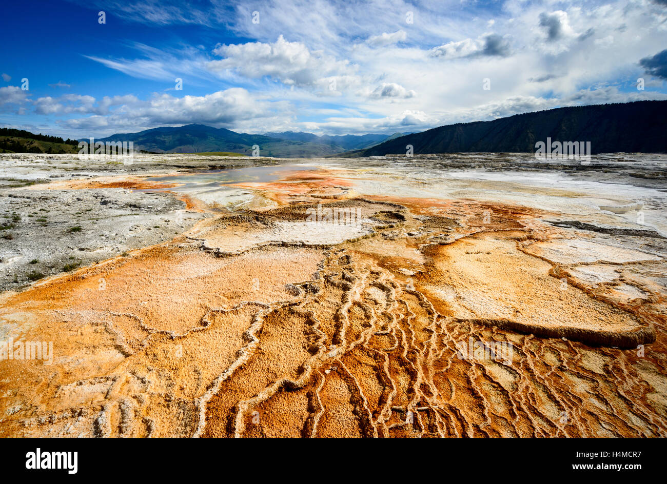 Le Parc National de Yellowstone Banque D'Images