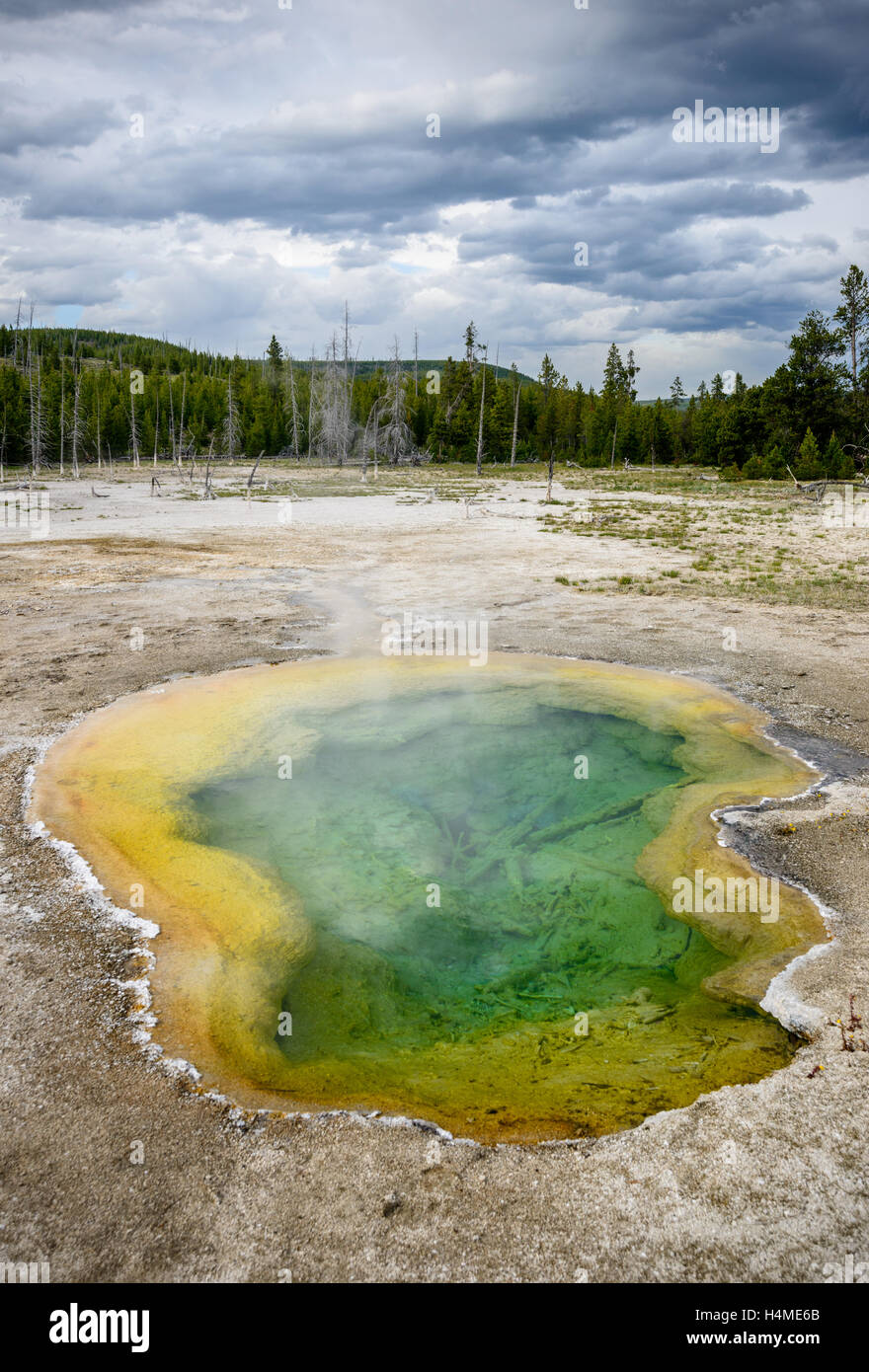 Le Parc National de Yellowstone Banque D'Images
