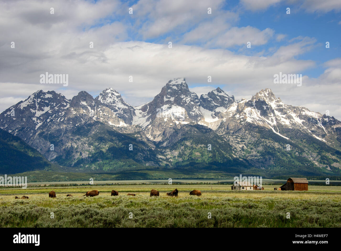 Grand Teton National Park Banque D'Images