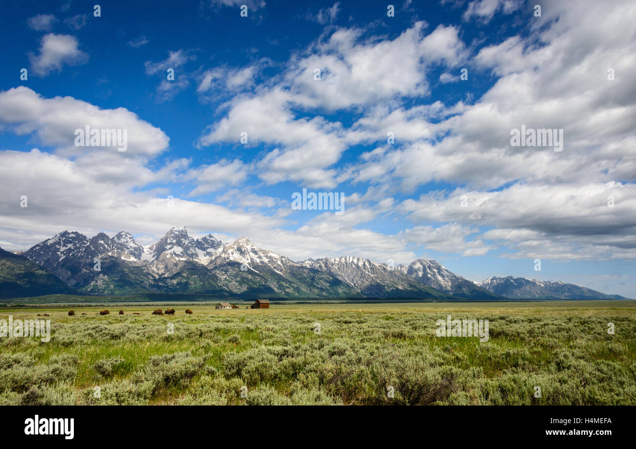 Grand Teton National Park Banque D'Images