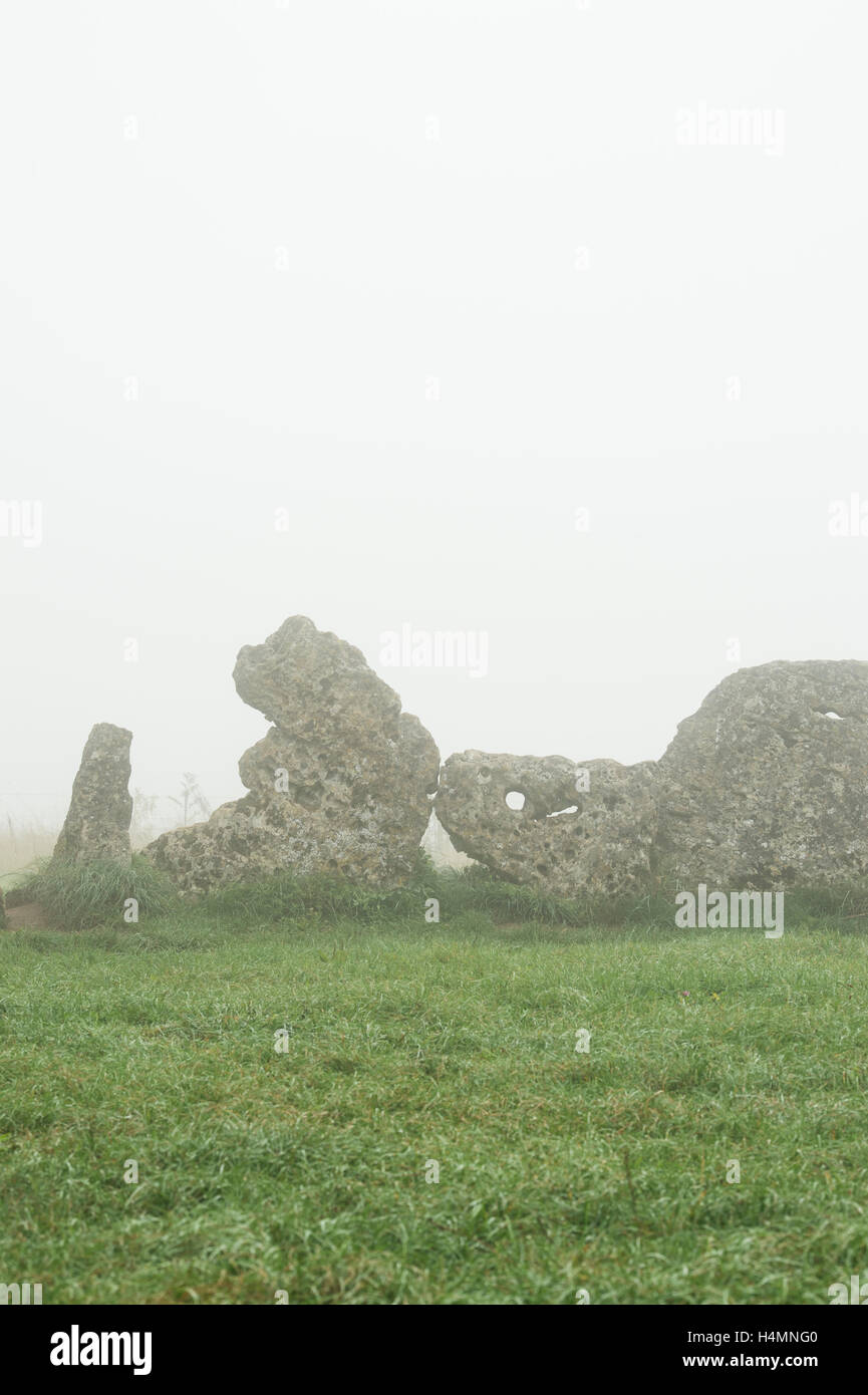Le Rollright stones dans le brouillard. L'Oxfordshire, Angleterre. Banque D'Images