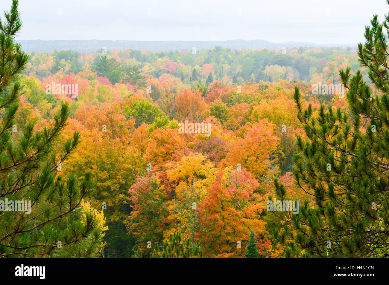 Les Hautes rives de la rivière Ausable en automne Banque D'Images