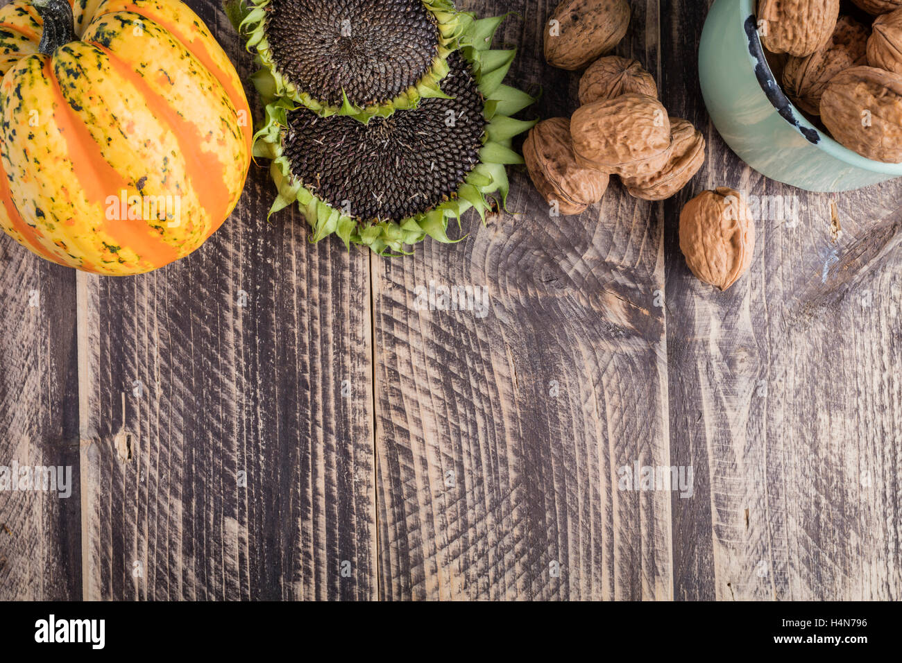 Automne Automne décoration de l'action de récolter du bois rustique en bois texte en arrière plan copie espace-espace-texte coloré de l'espace Banque D'Images