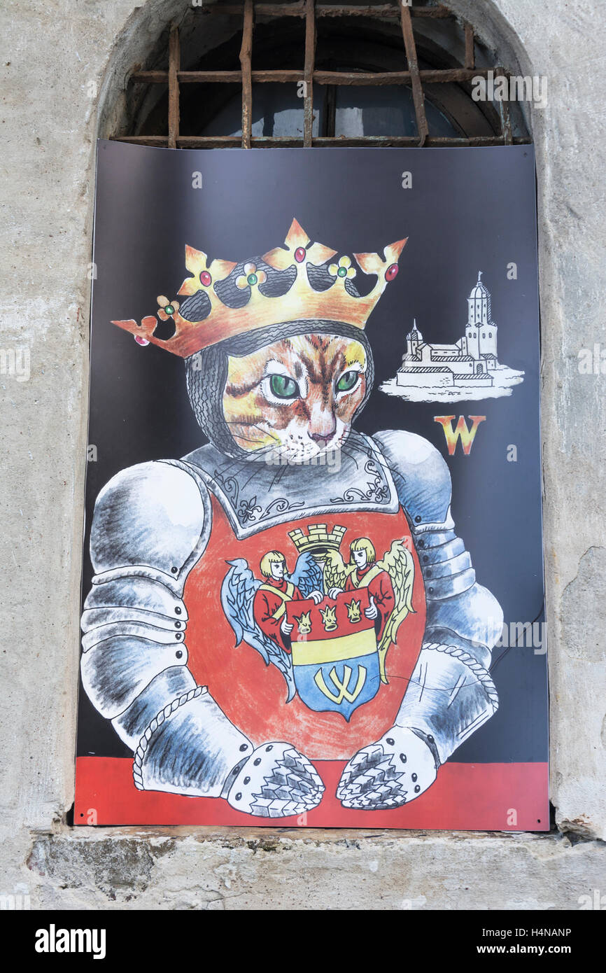 Chat En Armure Brillante Au Chateau De Vyborg En Russie Photo Stock Alamy