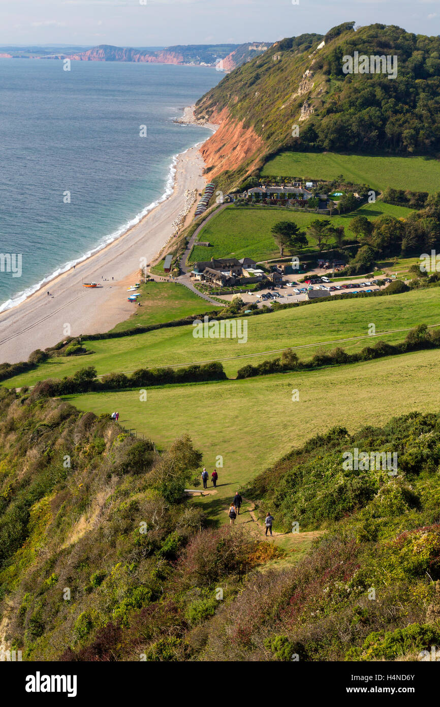 Les promeneurs sur la SW Coast Path ci-dessous falaise est près de Branscombe sur la côte jurassique du sud du Devon, England, UK Banque D'Images