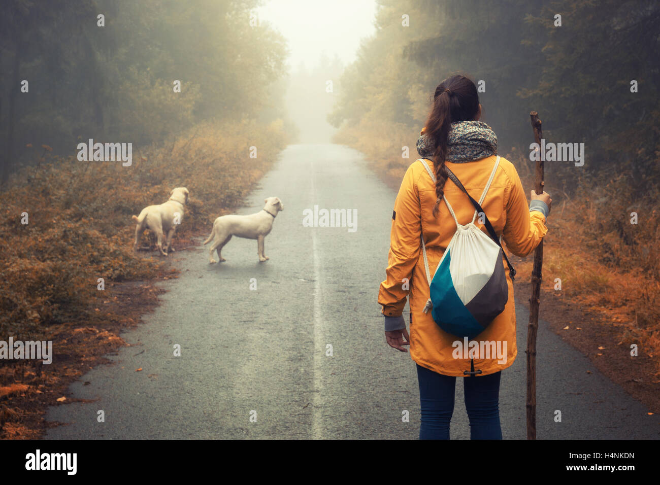 Jeune femme avec son dogy randonnée à travers une forêt dans les montagnes de l'Allemagne Banque D'Images