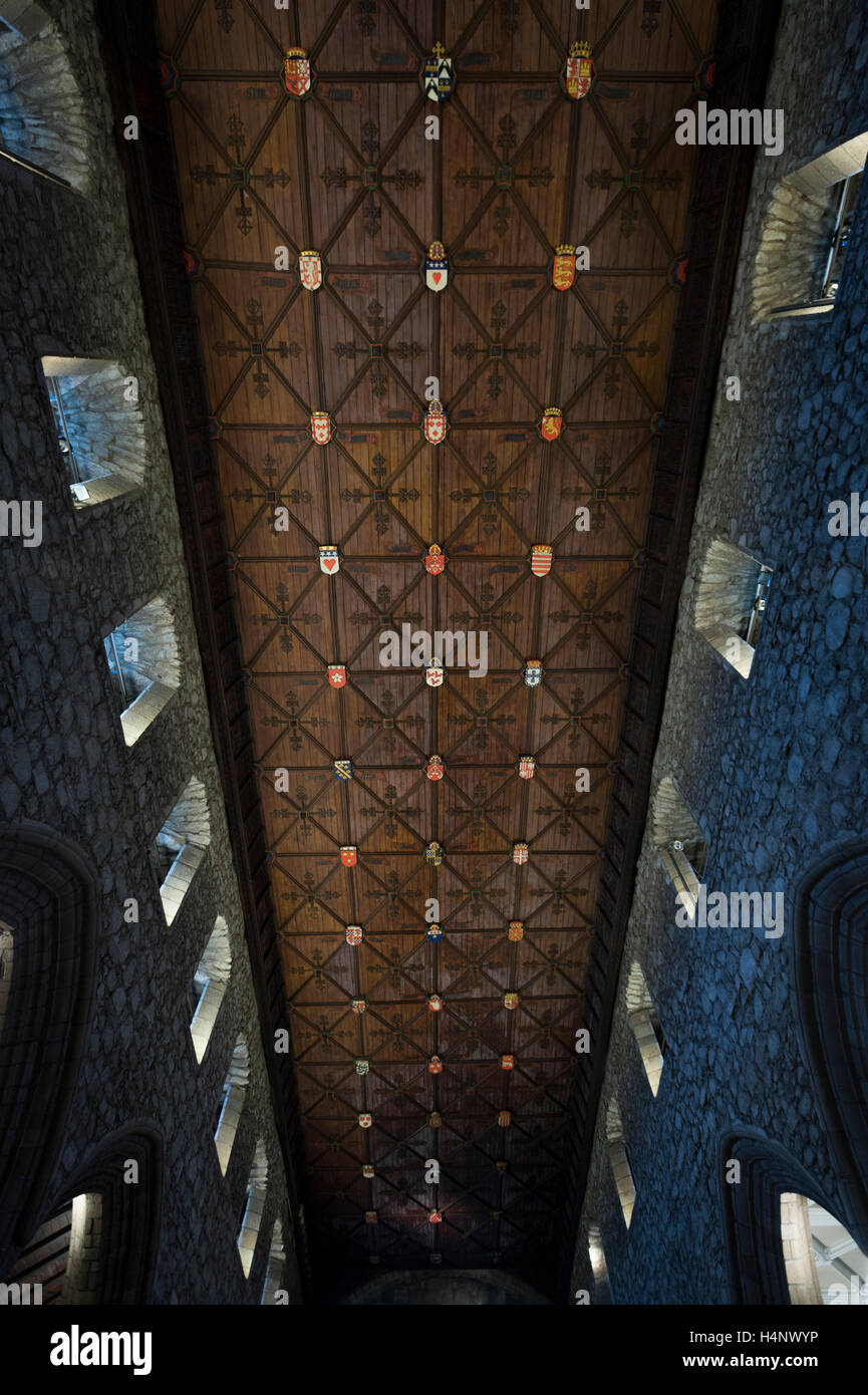 Le plafond héraldique de l'église cathédrale de St Machar, Old Aberdeen, Ecosse. Banque D'Images