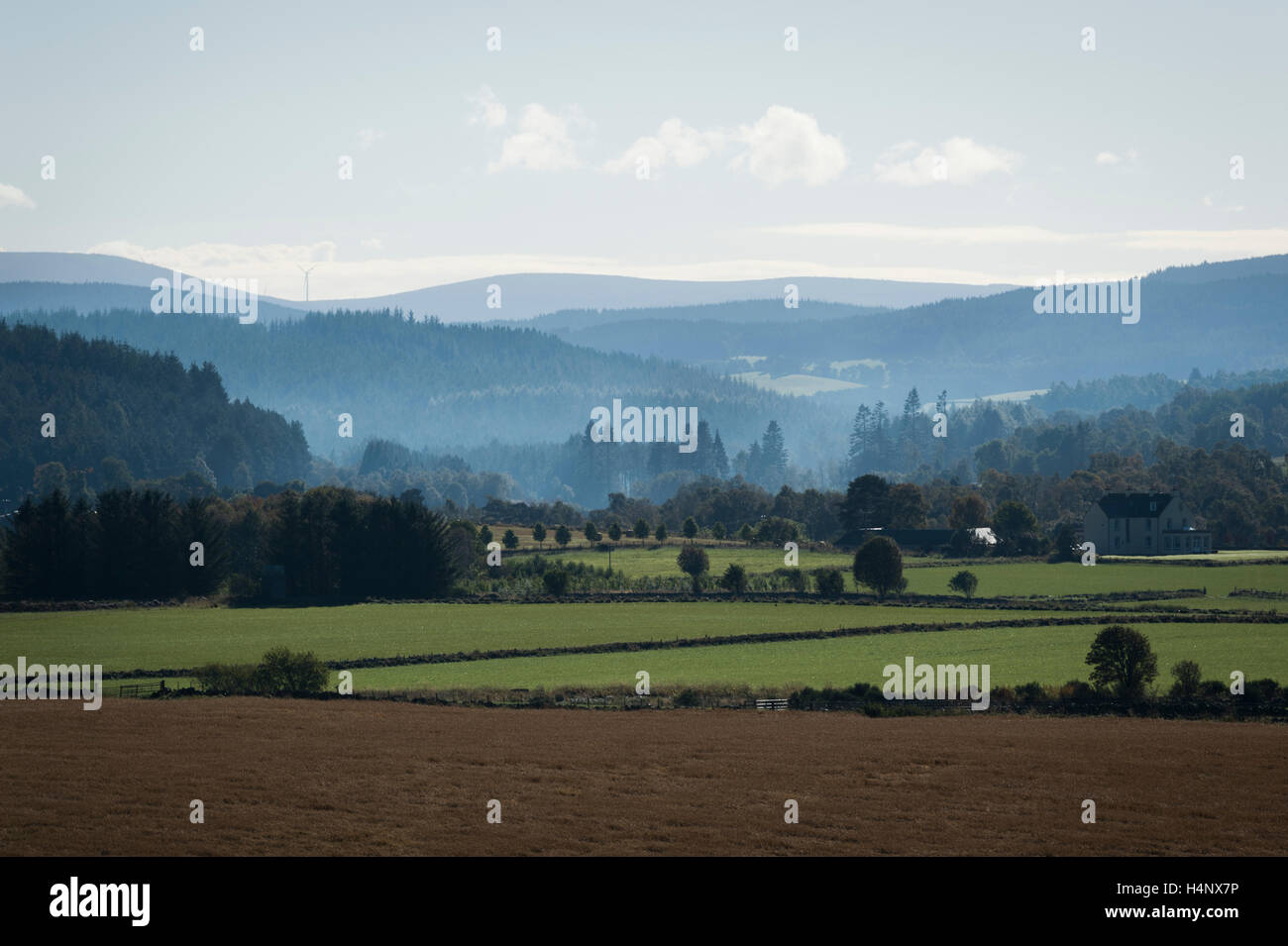 Forêt de Glentanar, Aboyne, Aberdeenshire, Ecosse. Banque D'Images