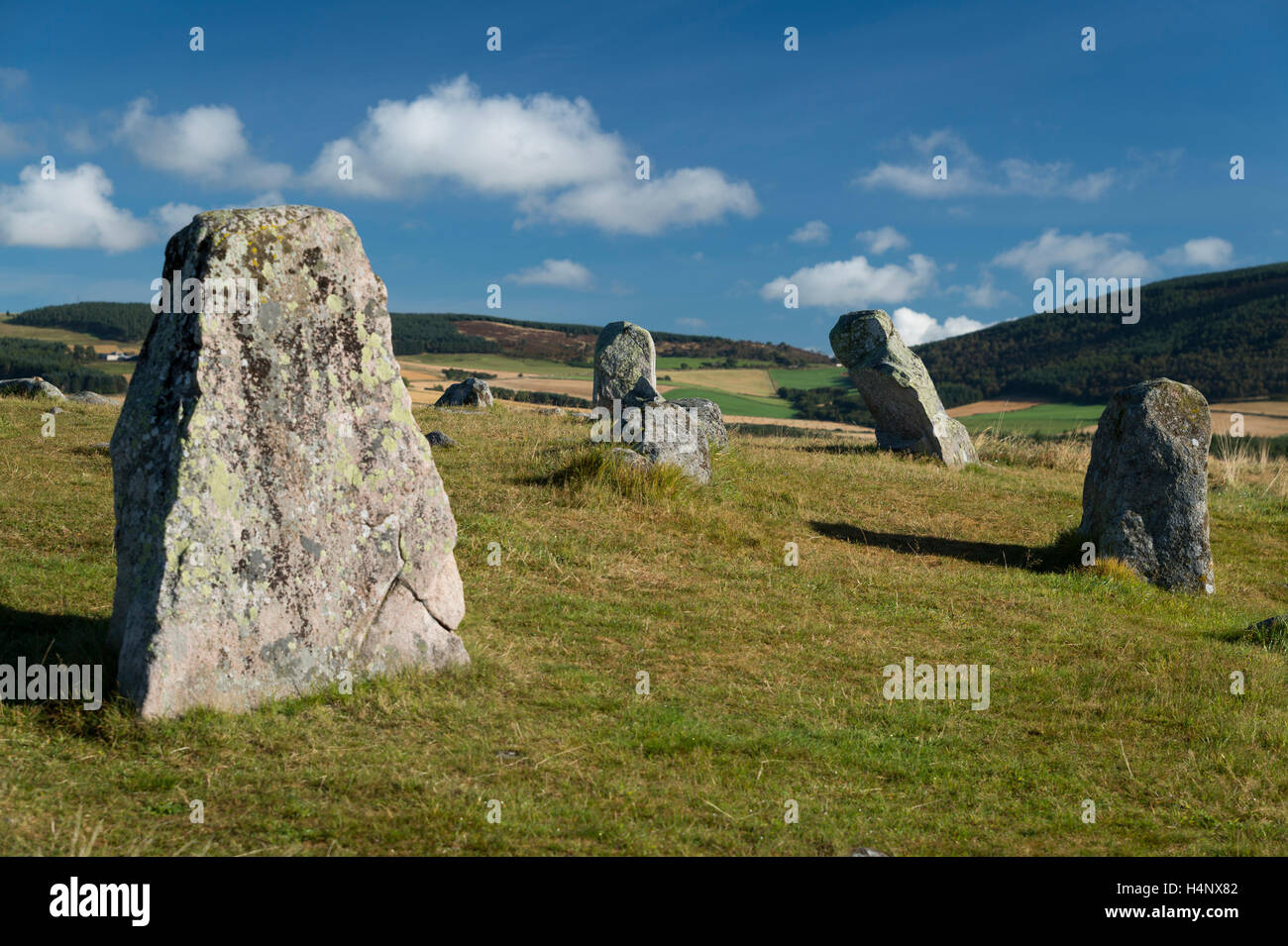 Tomnaverie stone circle, Tarland, Aberdeenshire, Ecosse. Banque D'Images