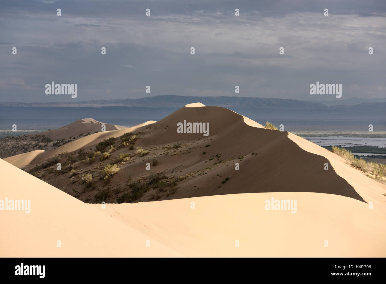 Haut de dunes barchan dune de sable de chanter Altyn Emel Parc indiquant à l'Ili et montagnes violettes au Kazakhstan Banque D'Images