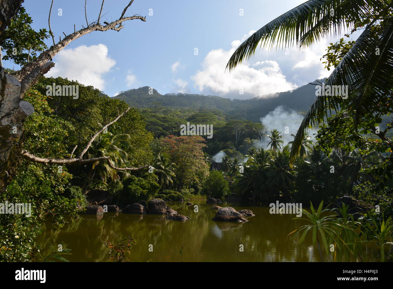 La fumée du lac forêt tropicale des Seychelles Banque D'Images