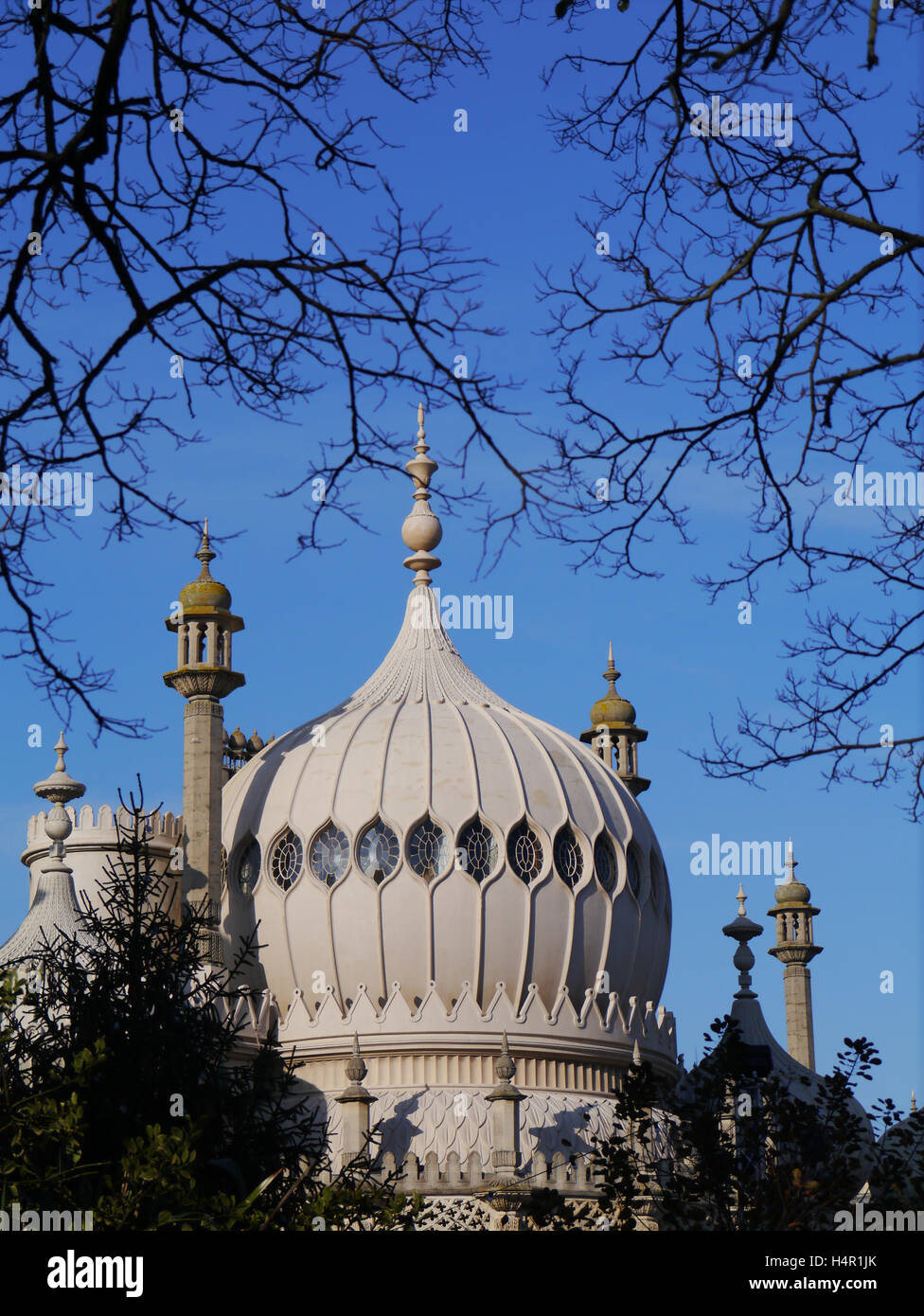 Avis de Brighton Pavilion en hiver Banque D'Images