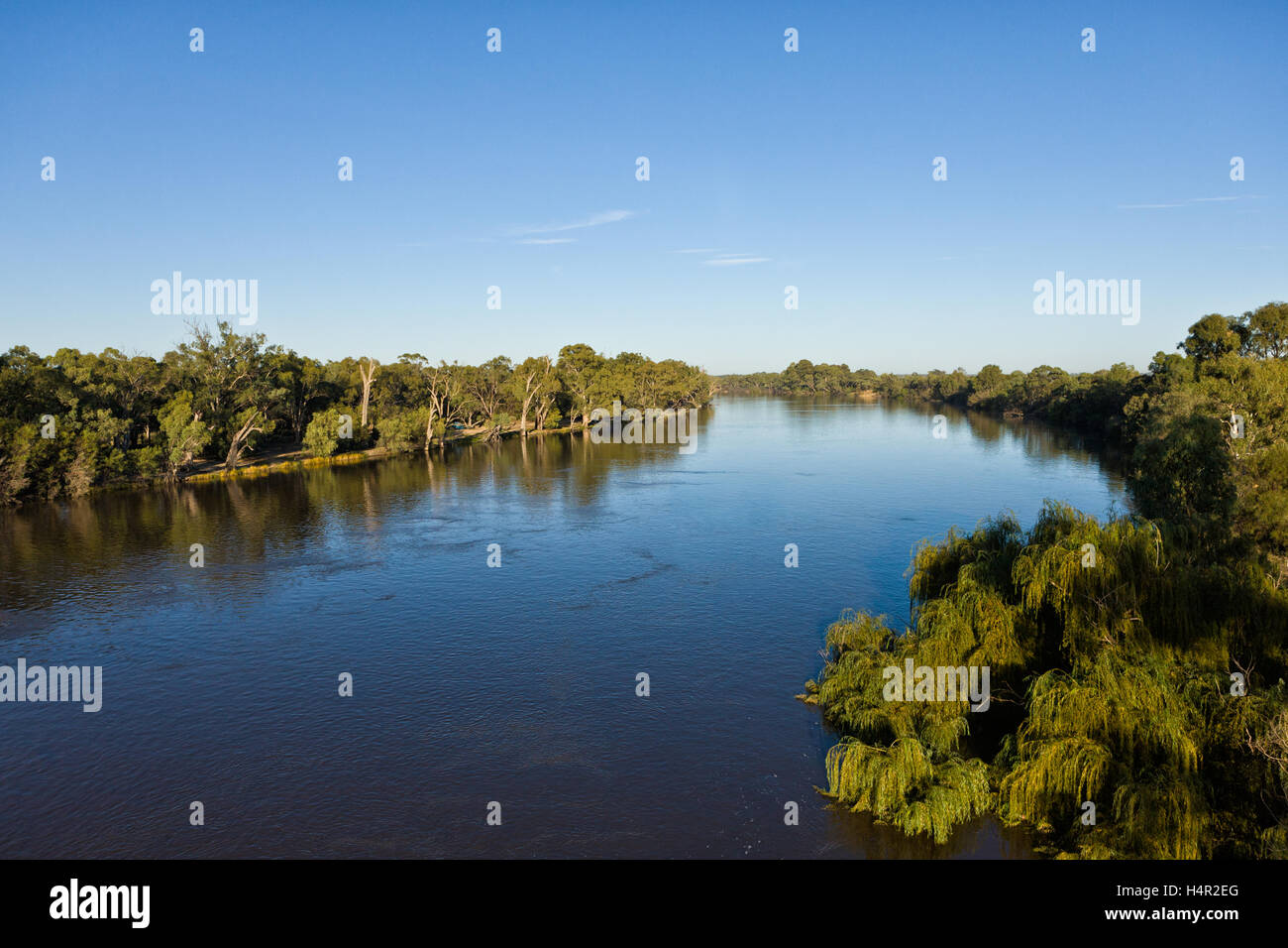 Très faible altitude aerial de Murray River, tournant à près de niveau des crues. Wentworth, NSW, Australie Banque D'Images