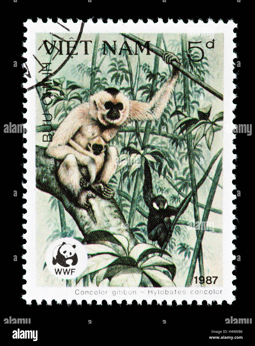 Timbre-poste du Vietnam représentant Gibbons à crête noire (Nomascus concolor) Banque D'Images