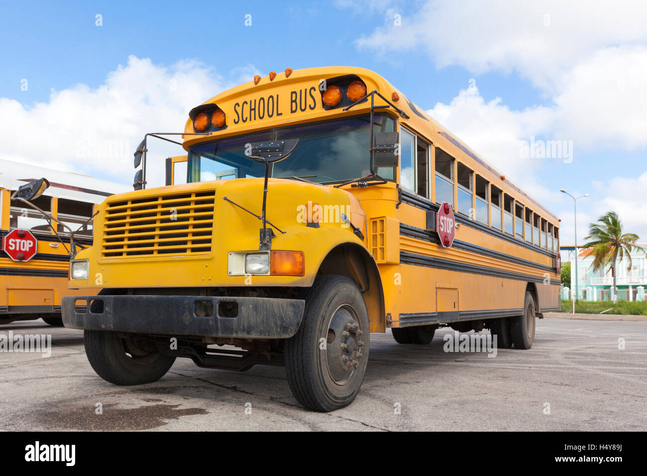 Autobus scolaire jaune, low angle view Banque D'Images