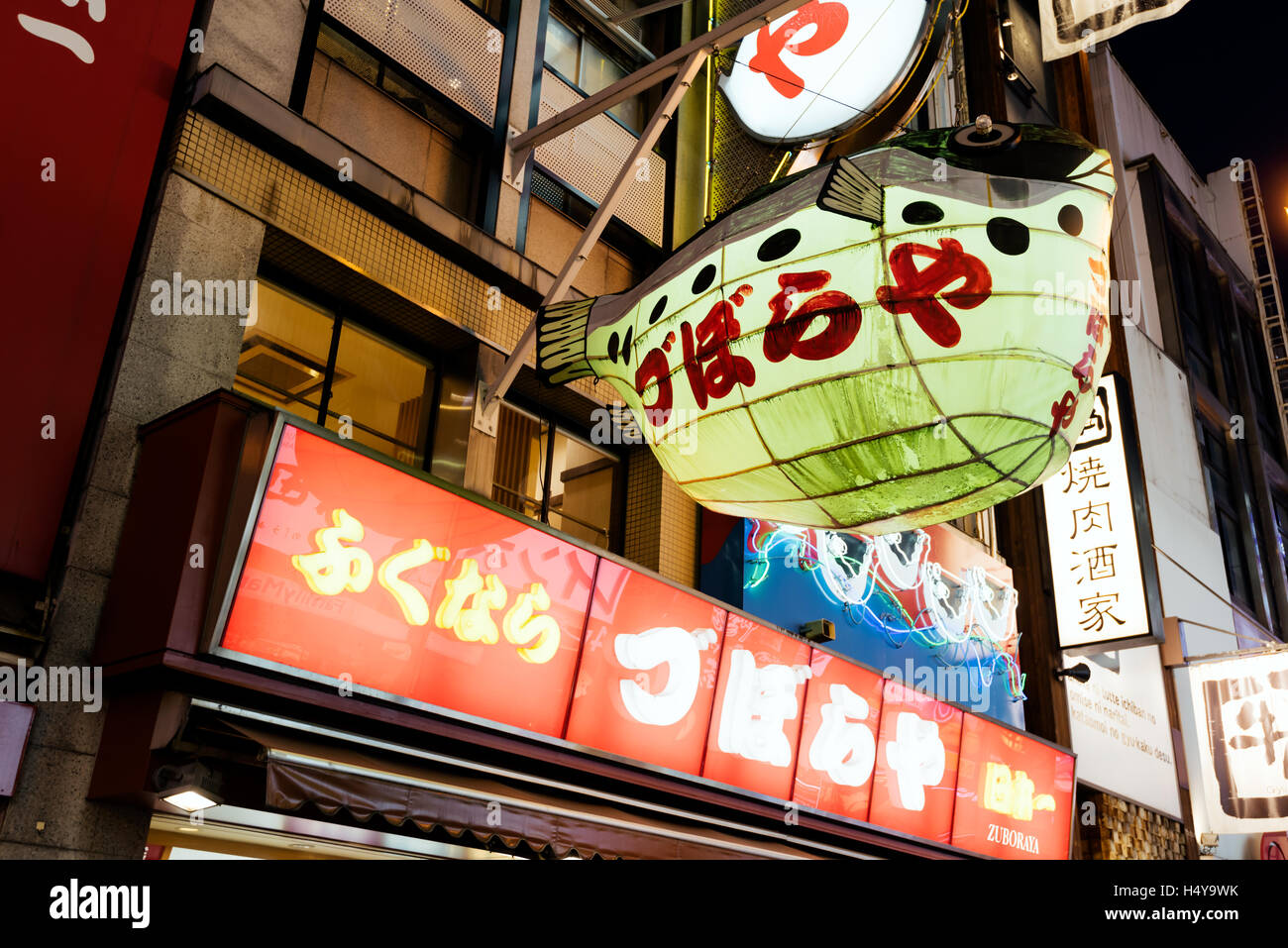 Osaka, Japon - 29 novembre 2015 : Un poisson Fugu peint lanterne dans Dotombori district à Osaka, au Japon. Poisson Fugu est un Japonais. Banque D'Images