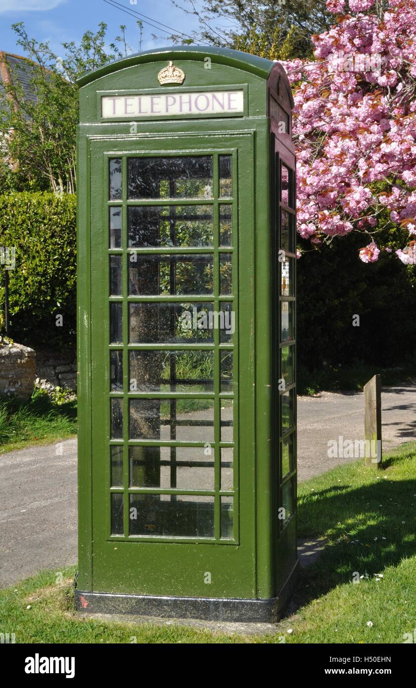 K6 téléphone vert fort dans Portesham, Dorset, avec une partie d'un cherry blossom tree derrière. Banque D'Images