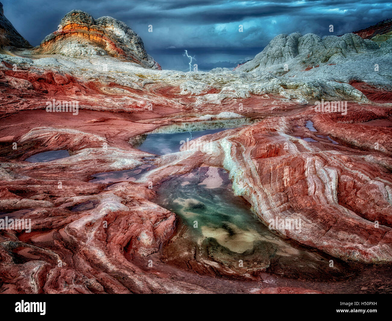 Pocket blanc avec l'eau de pluie piscines. Vermilion Cliffs National Monument, Arizona Banque D'Images