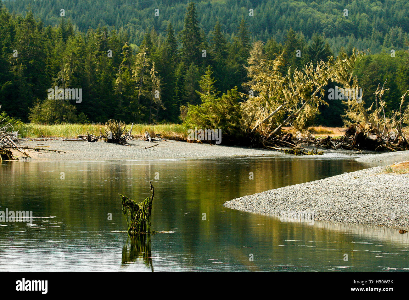 Port Macneill. L'île de Vancouver. La Colombie-Britannique. Canada Banque D'Images