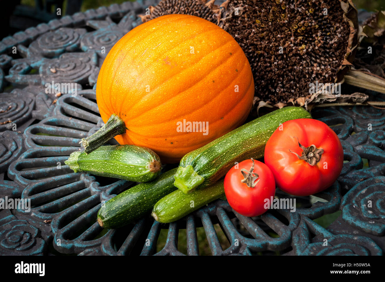 Les produits du jardin affiché à l'extérieur sur la table de jardin. Potiron, courgettes, tomates et les graines de tournesol. Banque D'Images Les produits du jardin affiché à l'extérieur sur la table de jardin. Potiron, courgettes, tomates et les graines de tournesol. Banque D'Images