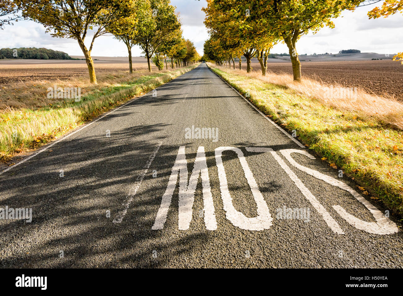 Heydon, South Cambridgeshire, Royaume-Uni. 18 Oct, 2016. Une route bordée d'arbres brille dans couleurs d'automne sur un jour d'automne ensoleillé et venteux. Les températures ont chuté au cours de la semaine et il y a la possibilité de gel plus tard dans la semaine que la saison d'automne se développe. Credit : Julian Eales/Alamy Live News Banque D'Images