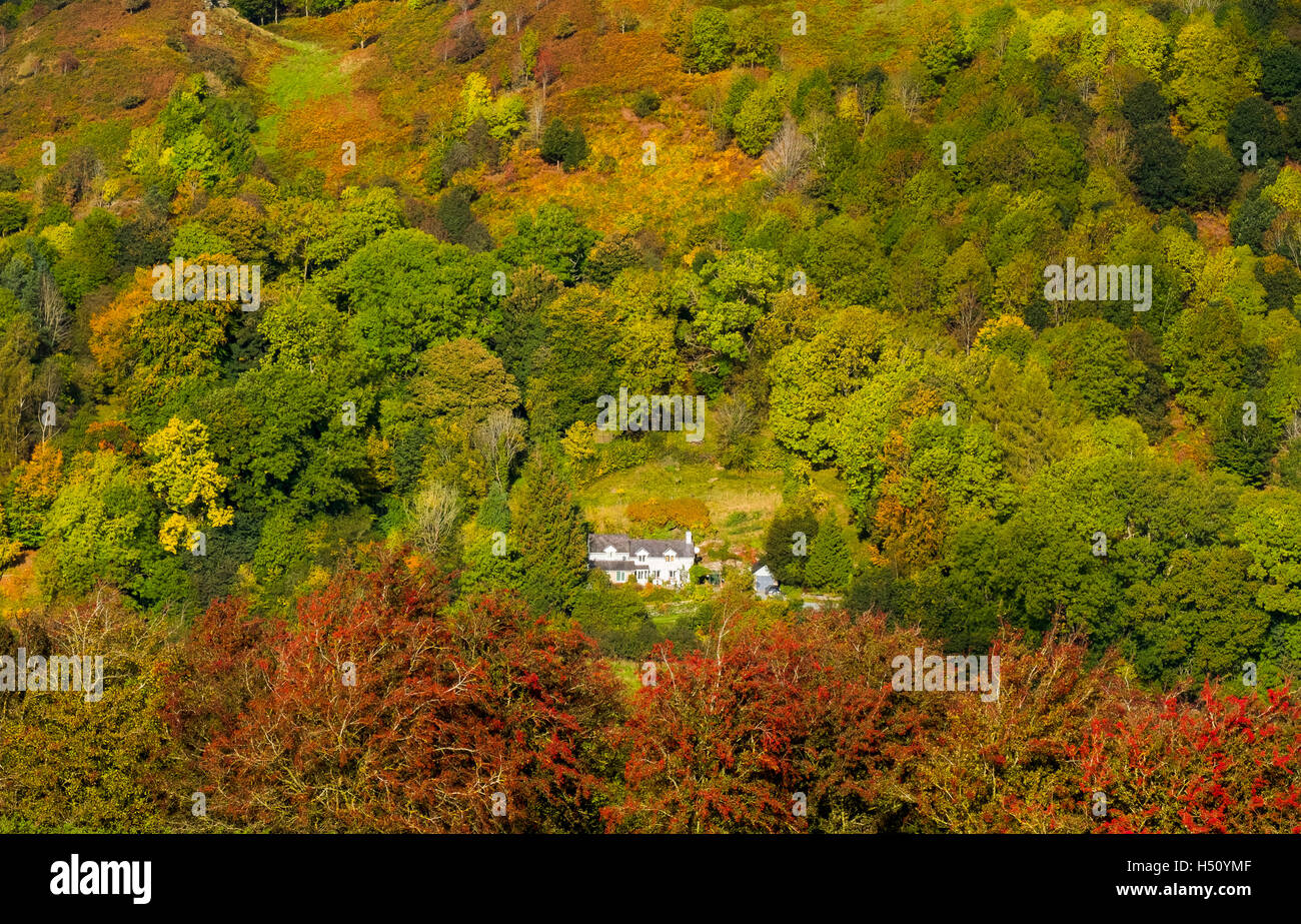 Un chalet au milieu des bois comme Brineddin l'automne s'empare de la campagne du Shropshire sud Chapelle à près de pelouse d'Oisans, England, UK Banque D'Images