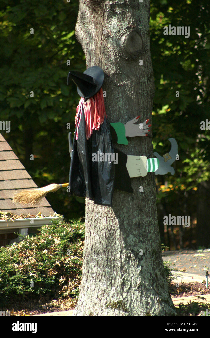 Plein air comique de décoration Halloween sorcière écraser contre un arbre tout en volant sur son balai Banque D'Images