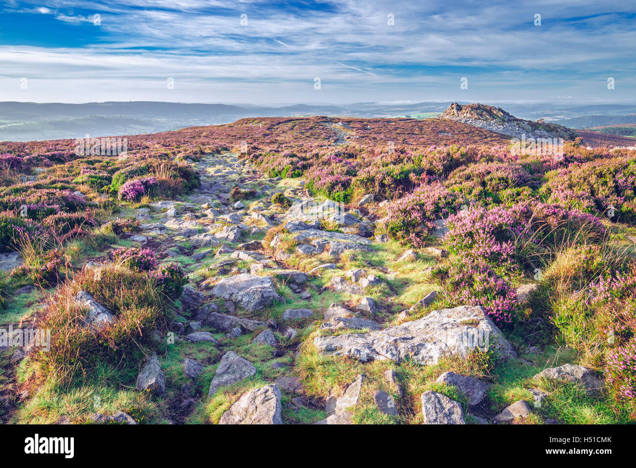 Rocky path vide avec Heather fleurs fleurs Banque D'Images