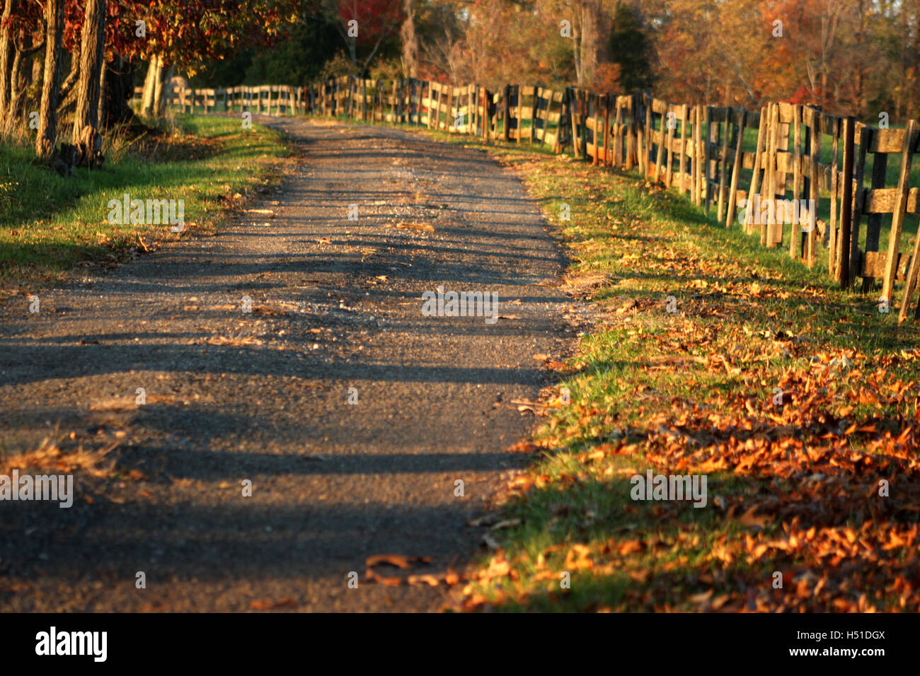 Chemin bordé par une clôture en bois rustique, à l'automne Banque D'Images