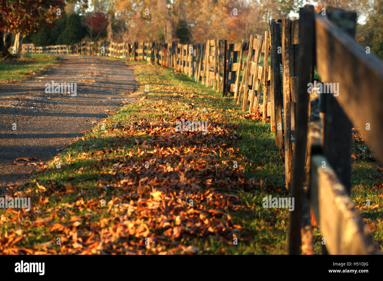 Chemin dans l'automne, avec clôture en bois rustique Banque D'Images
