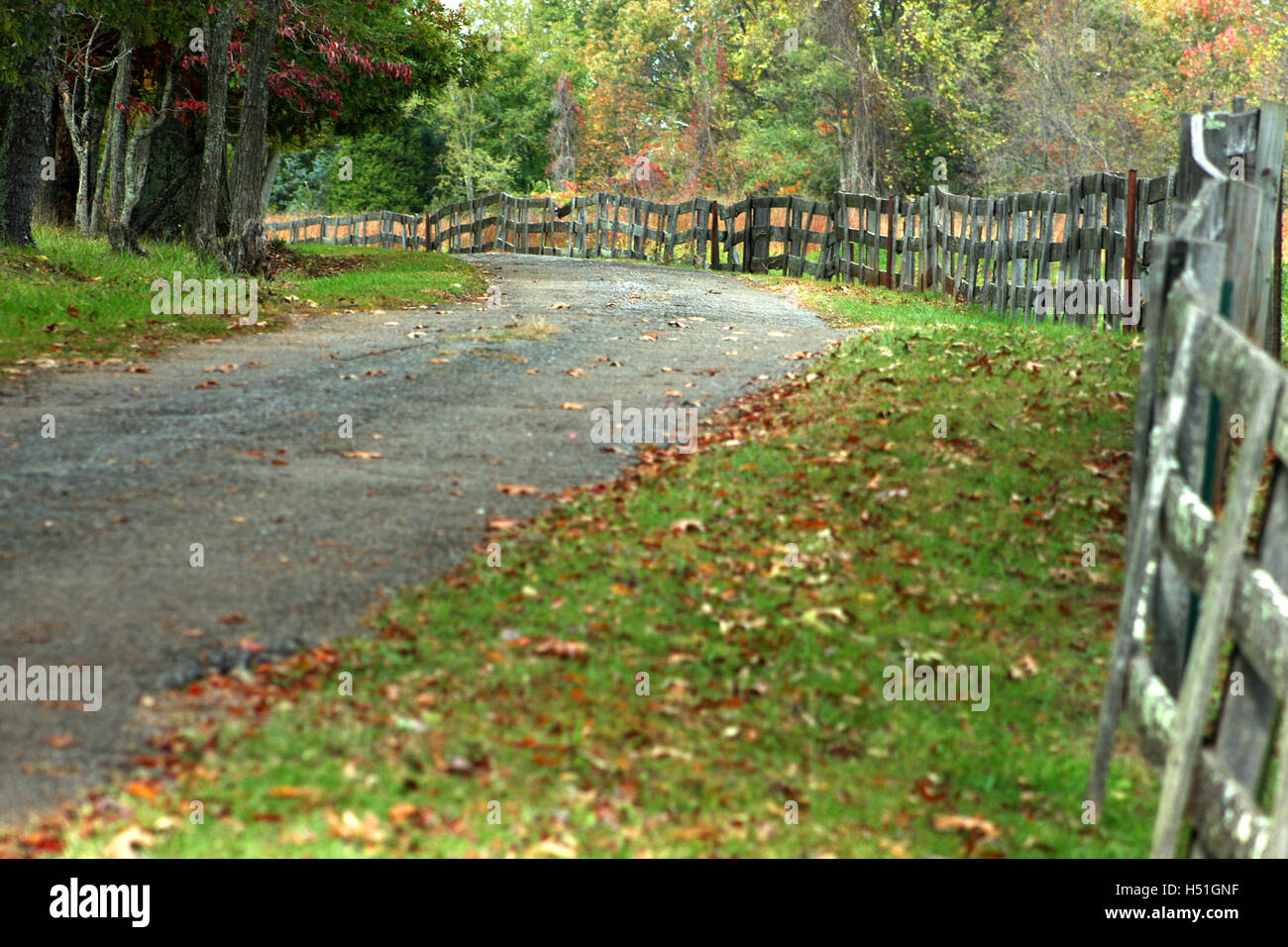 Clôture en bordure d'un très beau sentier en automne Banque D'Images