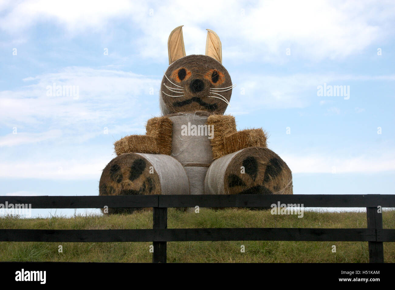 Lapin de balles de foin Banque D'Images
