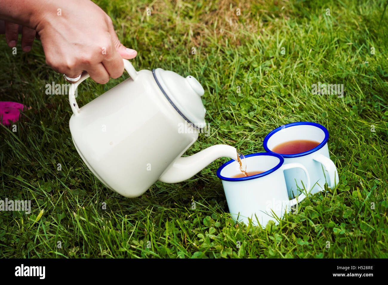 Woman pouring tea d'un pot en deux mugs sur une pelouse. Banque D'Images
