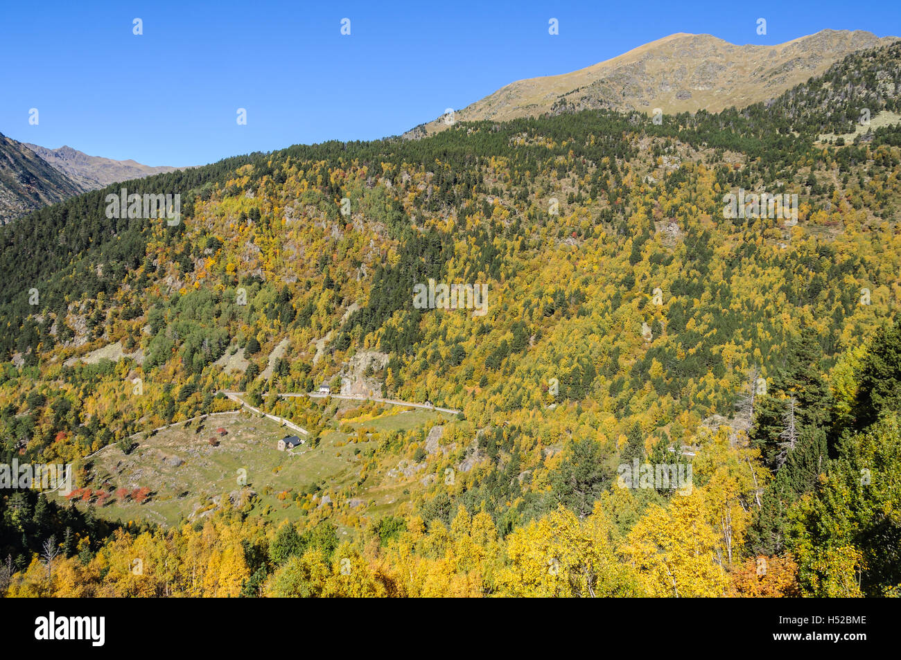 Petite hutte dans la forêt colorée à l'automne, dans la vallée de l'Estanyo River, Andorre Banque D'Images