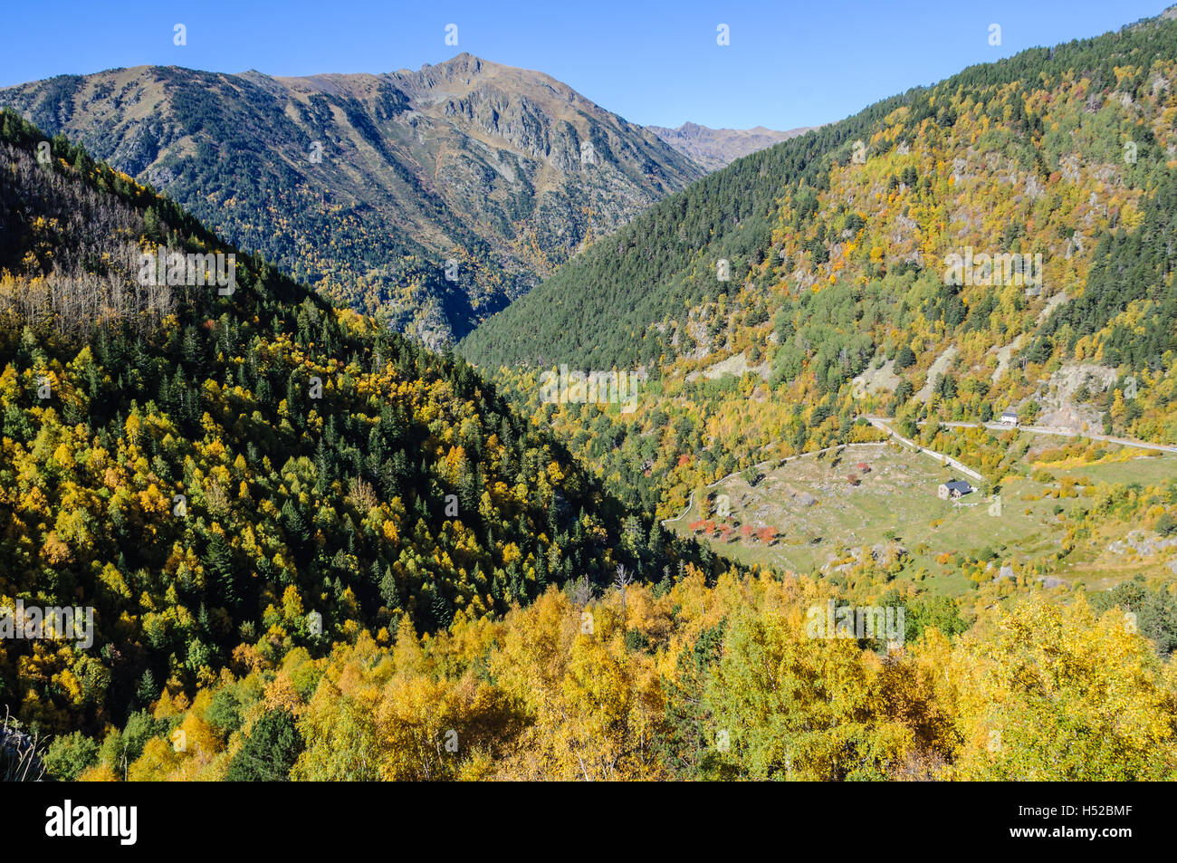 Petite hutte dans la forêt colorée à l'automne, dans la vallée de l'Estanyo River, Andorre Banque D'Images