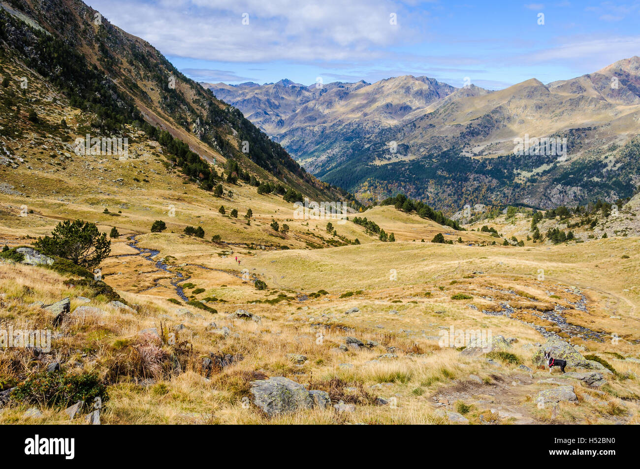 En automne, le calme dans la vallée de l'Estanyo River, Andorre Banque D'Images