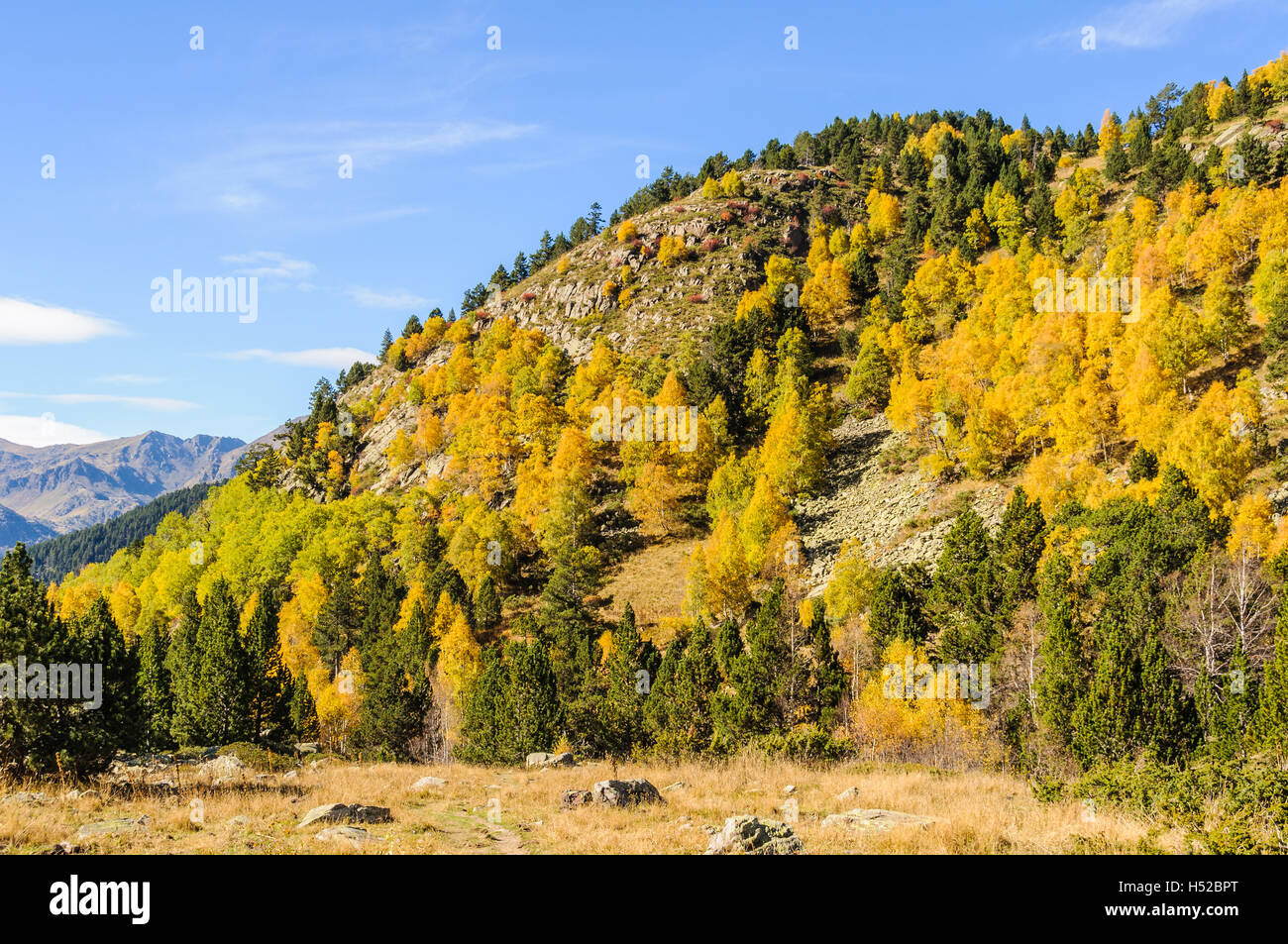 Paysage de forêt colorée à l'automne, dans la vallée de l'Estanyo River, Andorre Banque D'Images