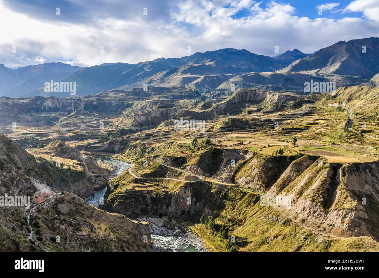 Vue panoramique dans le profond canyon de Colca, Pérou Banque D'Images