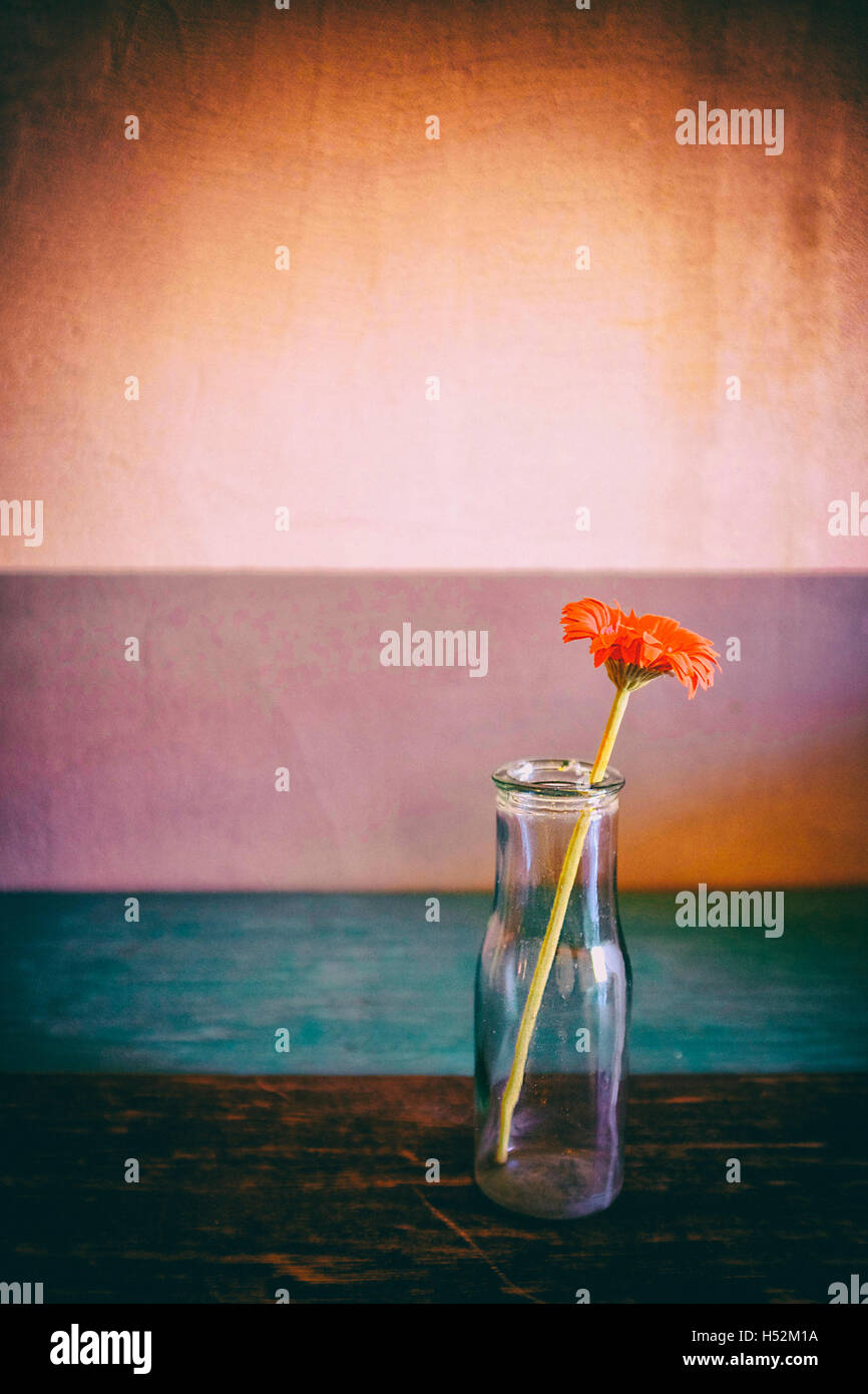 Vintage still life of une fleur dans une bouteille Banque D'Images