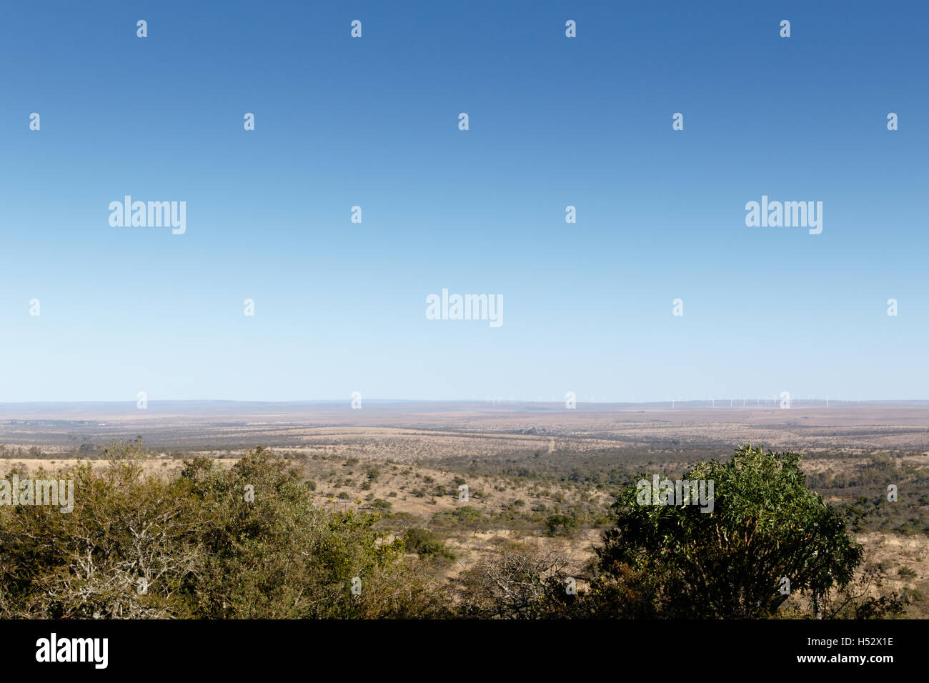 Ciel bleu avec vue sur paysage plat avec des arbres au premier plan. Banque D'Images