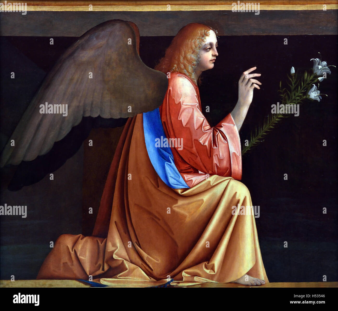 Aile d'organes ( Angel ) Giovanni Agostino da Lodi - peintre italien 1495 1525 15e siècle Italie Italien Banque D'Images