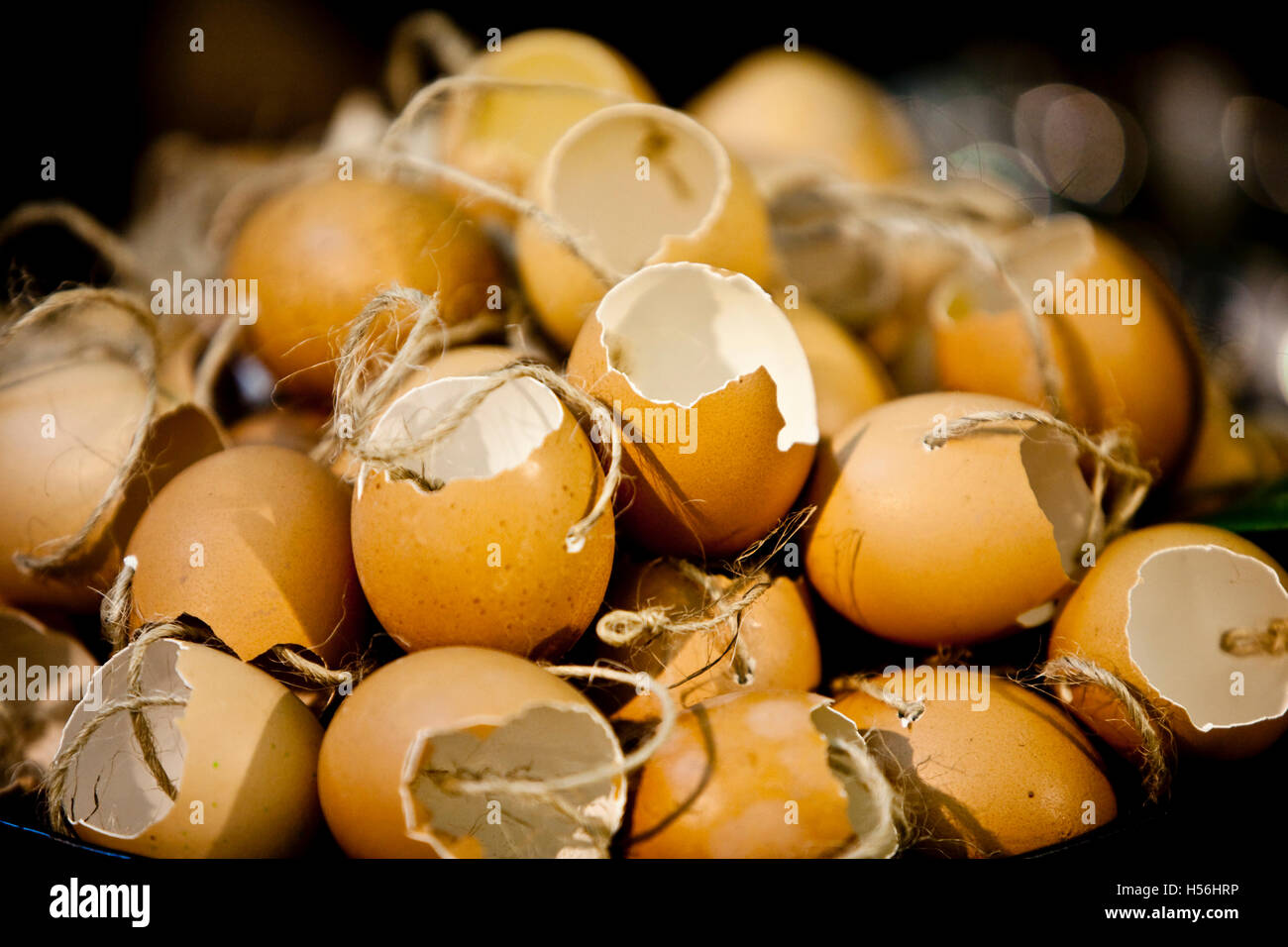 Coquilles de œufs Banque D'Images