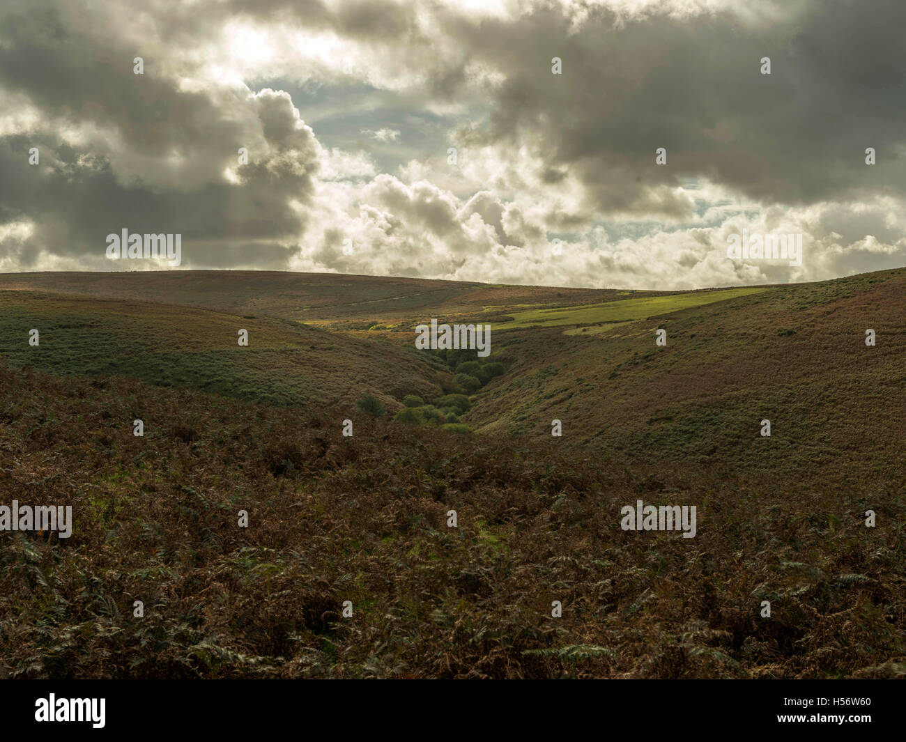 Nuages de tempête de recueillir plus d'automne et Corndon Lettaford, Dartmoor National Park, Devon, Angleterre Banque D'Images