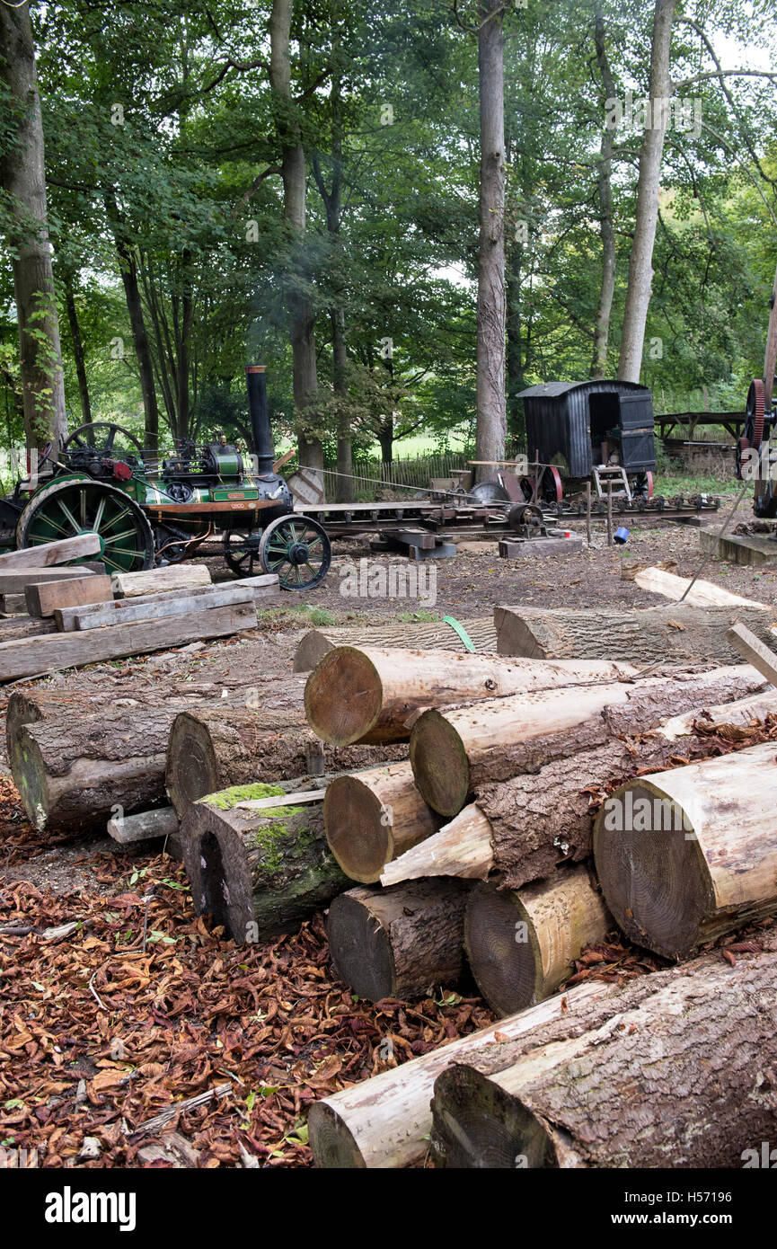 La mise sous tension du moteur de traction dans un racksaw woodyard à Weald et Downland Open Air Museum, Singleton, Sussex, Angleterre Banque D'Images