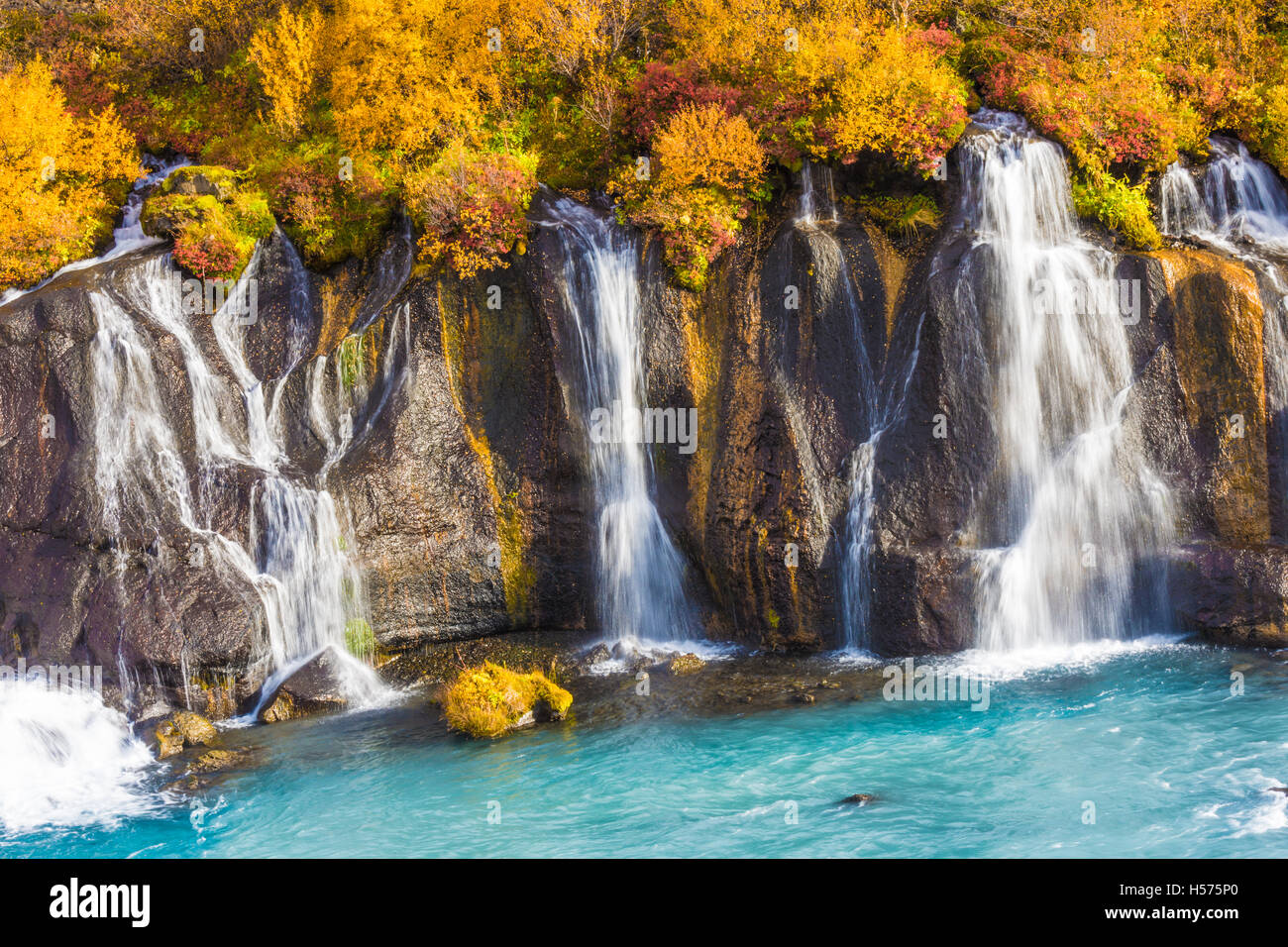 (De Borgarfjordur, western Hraunfossar Islande), une série de cascades formées par des ruisseaux filtrant à travers la pierre de lave poreuse. Banque D'Images