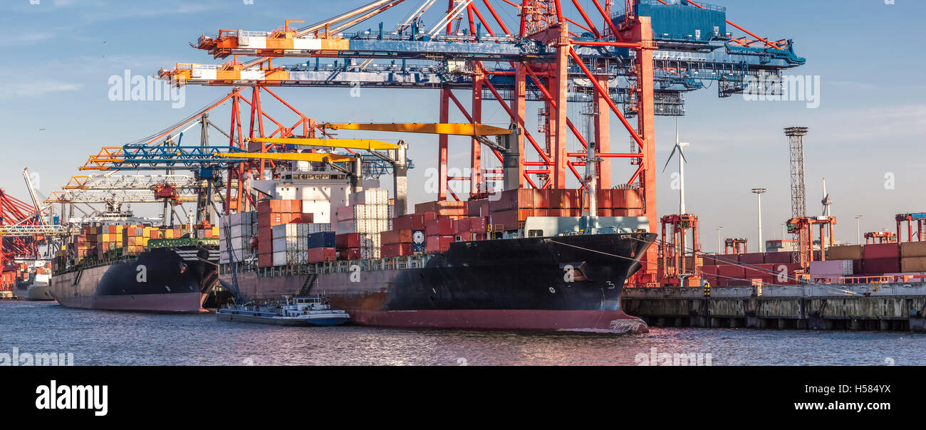 Panorama d'apport pour conteneurs de navires, le port de conteneurs à l'Hambourg à la lumière de la fin d'après-midi Banque D'Images